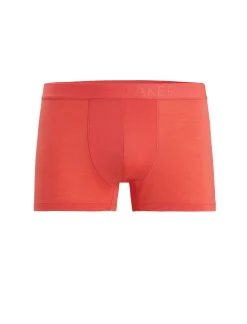 Store Icebreaker Cool-Lite™ Merino Anatomica Trunk Shorts Herren Vibrant Earth