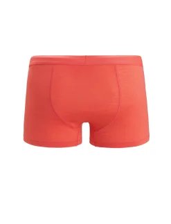 Store Icebreaker Cool-Lite™ Merino Anatomica Trunk Shorts Herren Vibrant Earth
