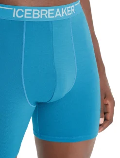 Fashion Icebreaker Merino Anatomica Lange Boxershorts Herren Geo Blue