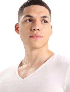 Online Icebreaker Merino Anatomica T-Shirt Mit V-Ausschnitt Herren Snow