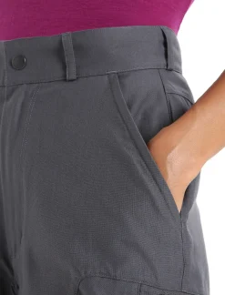 Flash Sale Icebreaker Merino Hike Hose Damen Monsoon