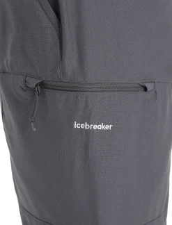 Flash Sale Icebreaker Merino Hike Hose Damen Monsoon
