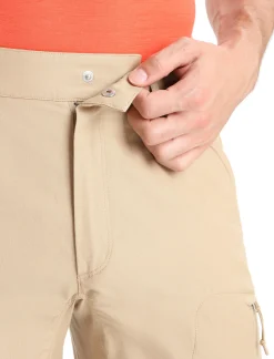 Cheap Icebreaker Merino Hike Hose Herren Sand