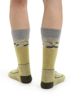 Sale Icebreaker Merino Hike+ Medium Socken Crew Sedimentary Herren Summer/Loden