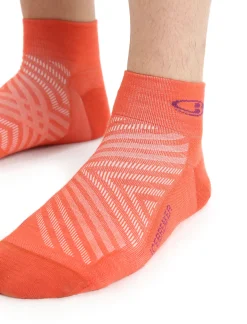 Cheap Icebreaker Merino Run+ Ultralight Socken Mini Herren Vibrant Earth Heather/Go Berry