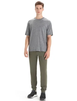 Hot Icebreaker Merino Shifter Hose Herren Loden