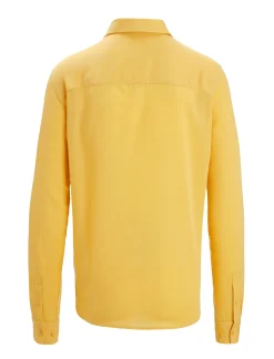 Cheap Icebreaker Merino Steveston Langarmhemd Herren Summer