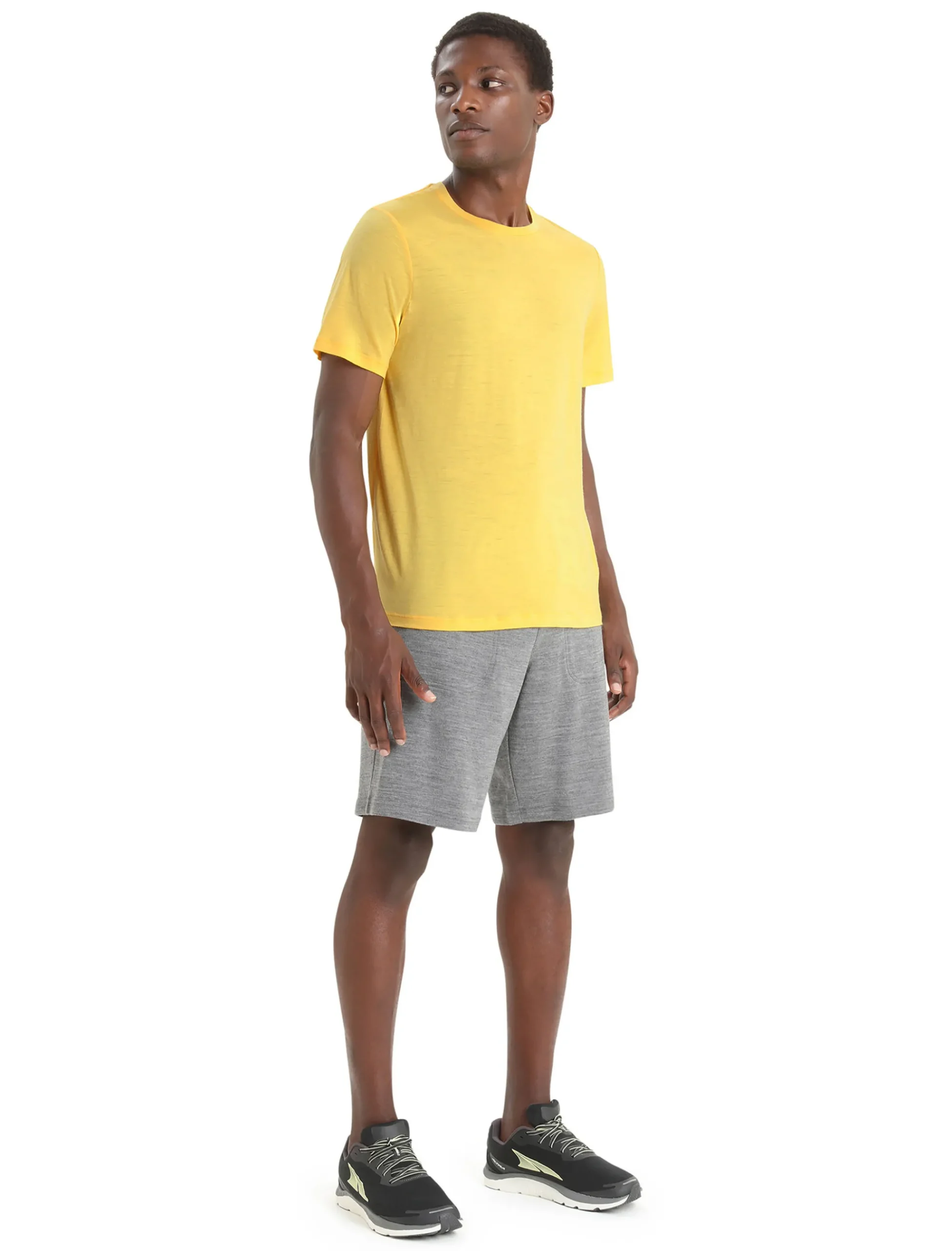 Shop Icebreaker Merino Tech Lite Ii T-Shirt Herren Summer