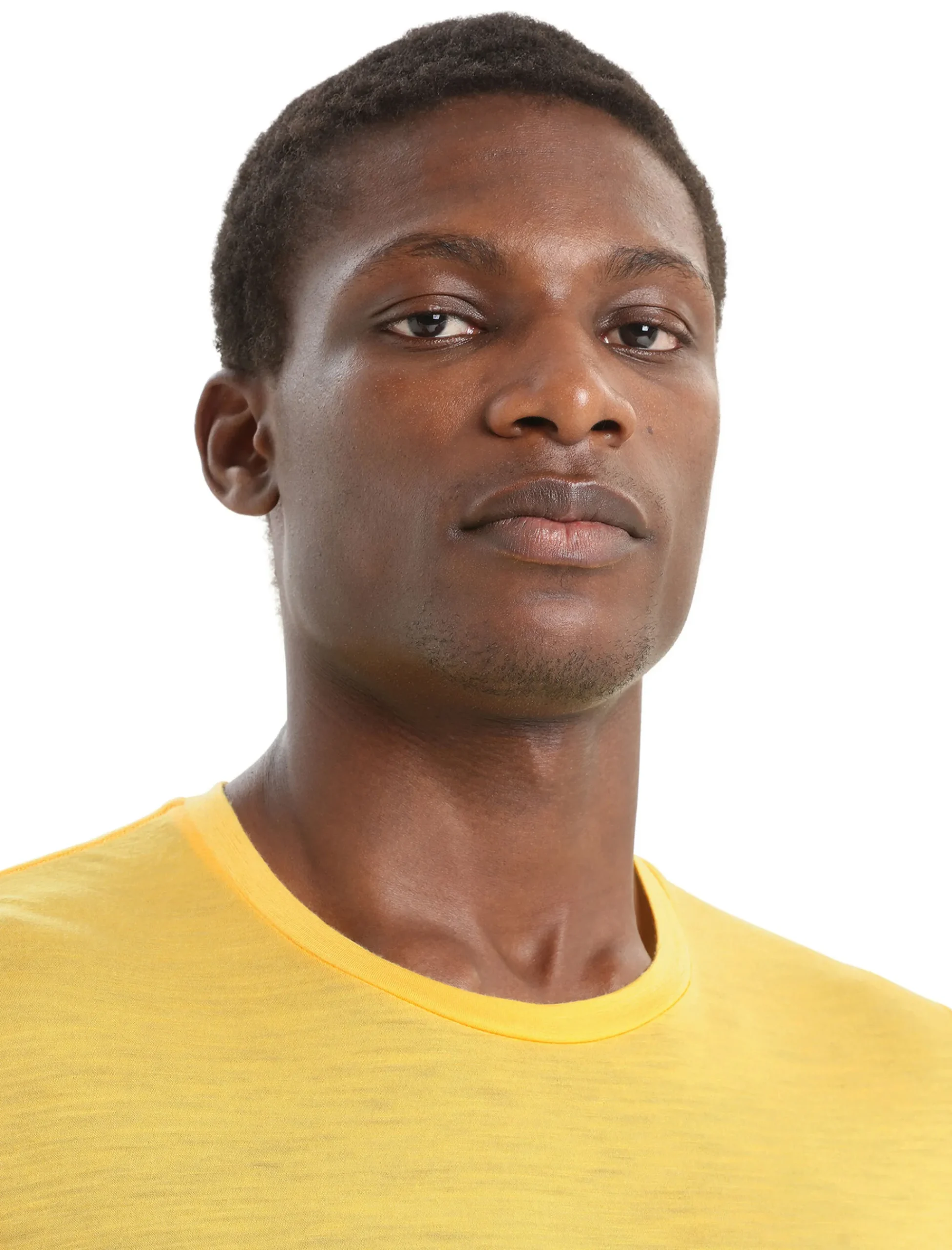 Shop Icebreaker Merino Tech Lite Ii T-Shirt Herren Summer