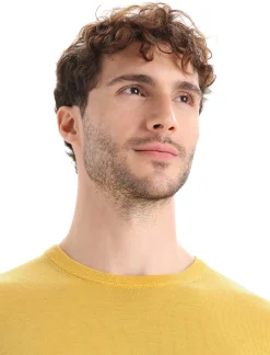 Cheap Icebreaker Merino Wilcox Sweater Herren Summer