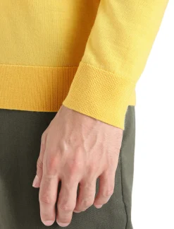 Cheap Icebreaker Merino Wilcox Sweater Herren Summer